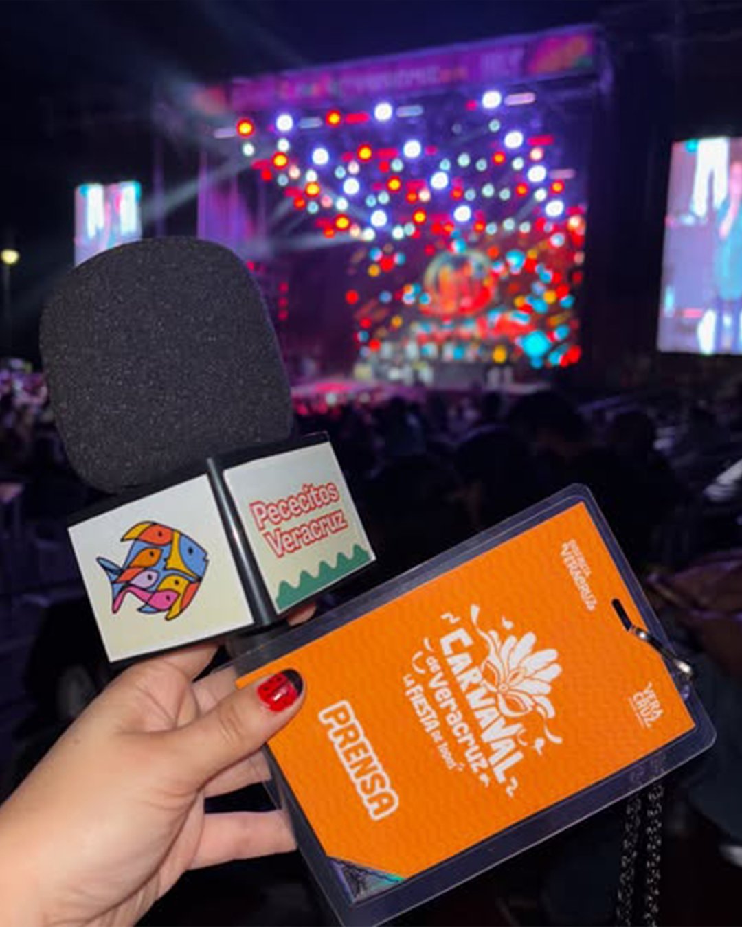 Portada de Nueva cartelera cultural para este fin de semana